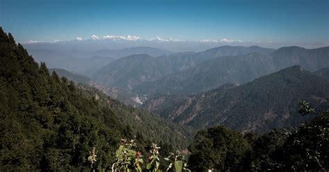 Uttarakhand Forest Development .